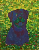 Rottweiler/ Sulo